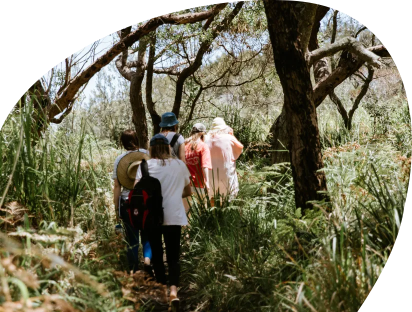 Several people wearing backpacks and walking through a forest.